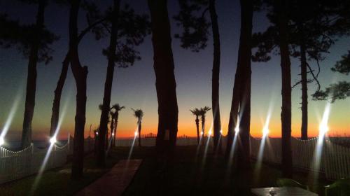 a sunset behind a group of trees and lights at Guest House Guriani in Grigoleti