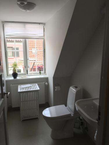 a bathroom with a toilet and a sink and a window at PilgrimsHuset Maribo in Maribo