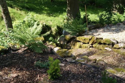a garden with rocks and trees and plants at Chalet Horní Orlice in Červená Voda