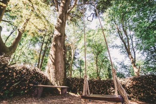 a swing in a park next to a tree at Gut Boltenhof in Fürstenberg-Havel