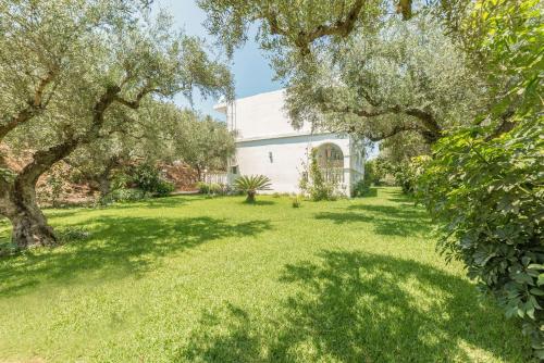a yard with trees and a white house at Ruassi Studios in Amoudi