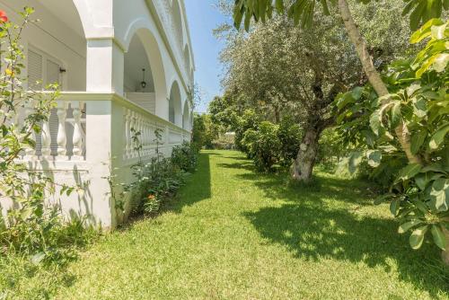 a yard of a house with a white fence and trees at Ruassi Studios in Amoudi