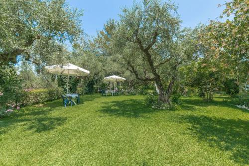 a lawn with tables and umbrellas in a park at Ruassi Studios in Amoudi