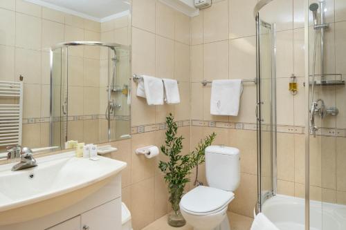 La salle de bains est pourvue de toilettes, d'un lavabo et d'une douche. dans l'établissement Hotel Rozmarin, à Predeal