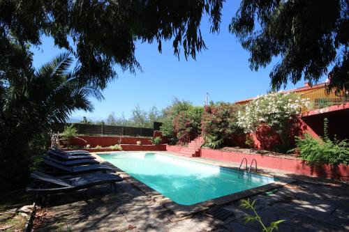 a swimming pool with lounge chairs in a yard at Gîte des Orgues d'Ille les Agaves Canigou in Ille-sur-Têt