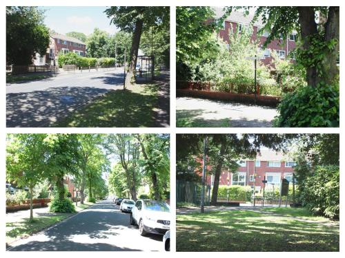four different pictures of a street with trees and cars at The Light Room at no.7 in Hull