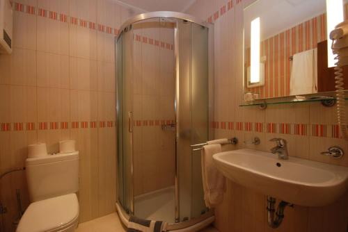 Gallery image of Hotel Elvetia in Karpenision