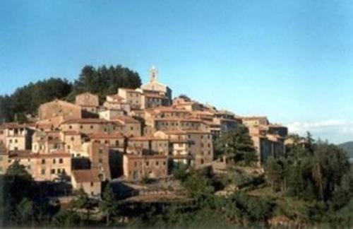 a town on a hill with a cross on top at Luciano e Norma House Il Rustico in Gerfalco