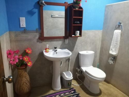 a bathroom with a sink and a toilet and a mirror at The Nature Park Villa in Sigiriya