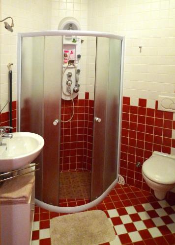a shower in a bathroom with a sink and a toilet at U Srubu Sychrov in Sychrov