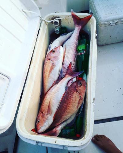 a tray of fish in a container on a table at Apartments Dragišić in Sveti Stefan