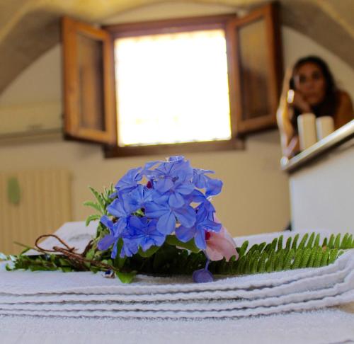 a blue flower on top of a table at Buon Consiglio B&B in Lecce