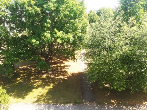 an overhead view of two trees in a park at Couple getaway to a freshly renovated apartment in Pärnu