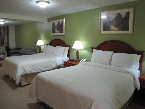 two beds in a hotel room with green walls at Valley Inn Motel in Sudbury