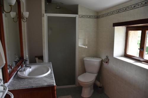 a bathroom with a toilet and a sink and a shower at Gîte La Lichère - La Chanterelle in Saint-Montan