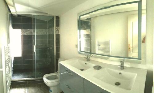 une salle de bain avec un lavabo, des toilettes et un miroir dans l'établissement Maison entière au pied des vignes, à Lussac