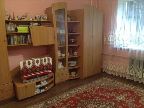 a living room with a book shelf and a chair at Вікторія in Tatariv