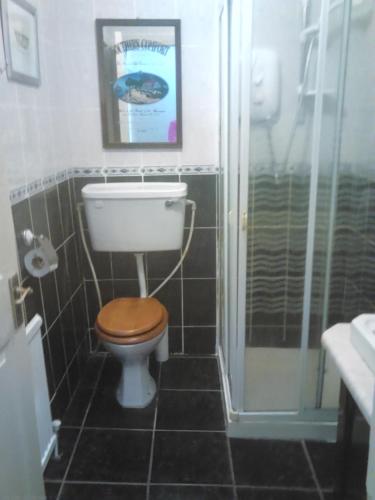 a bathroom with a toilet and a shower at Swinford Bridge Street Apartment in Swinford