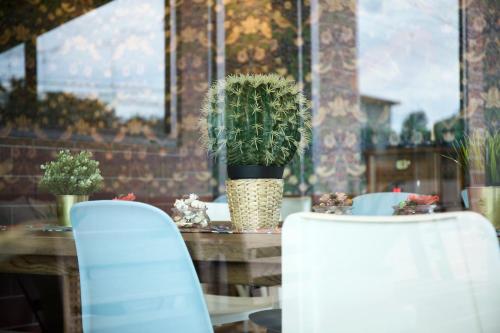 a table with chairs and a potted plant on it at Chez Bure - Bure Homestay in Kanchanaburi