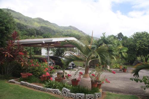 a parking lot with a bunch of plants and flowers at Daniella's Bungalows in Bel Ombre
