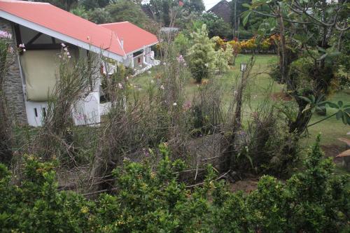a house with a lot of weeds in front of a yard at Daniella's Bungalows in Bel Ombre
