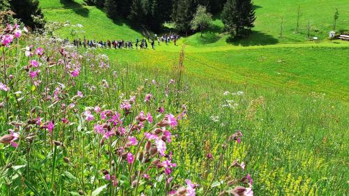 Fotografie z fotogalerie ubytování Hotel da Barba B&B v destinaci Asiago