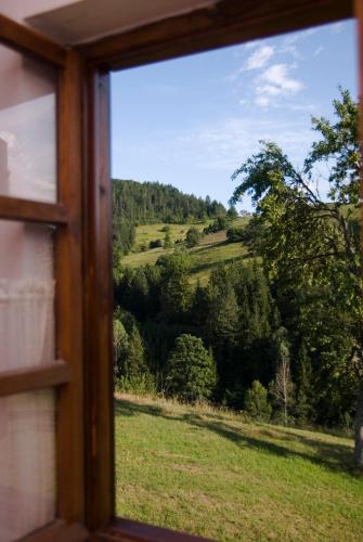 a view from a window of a field and trees at Apartment ''Planinsko selo'' in Zaovine