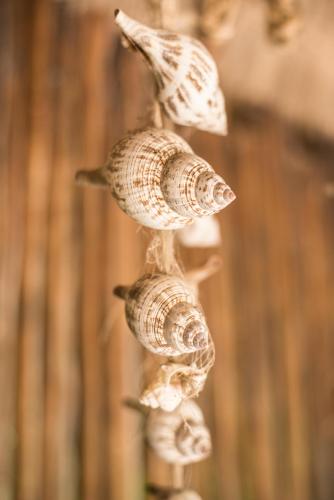 a group of birds perched on a pole at Casa Takywara in Holbox Island