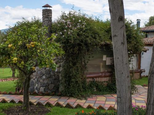Un jardín fuera de Zaysant Ecolodge