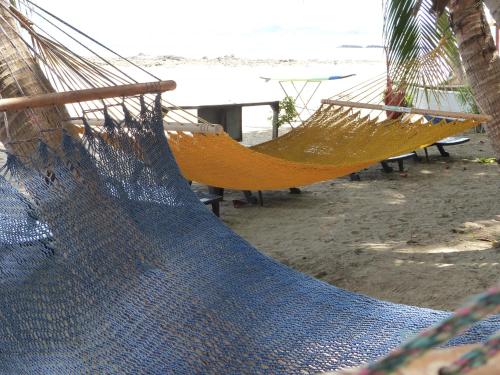 a beach with a bunch of umbrellas hanging from it at Hotel La Palapa in Tamarindo