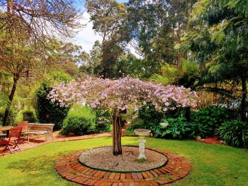 a tree in the middle of a garden at Adamsons Riverside Accommodation in Margaret River Town