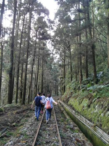three people walking on train tracks in the woods at Qun Feng Hotel in Fenchihu