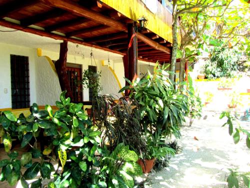 a group of plants in front of a building at Hotel Belvedere Playa Samara Costa Rica in Sámara