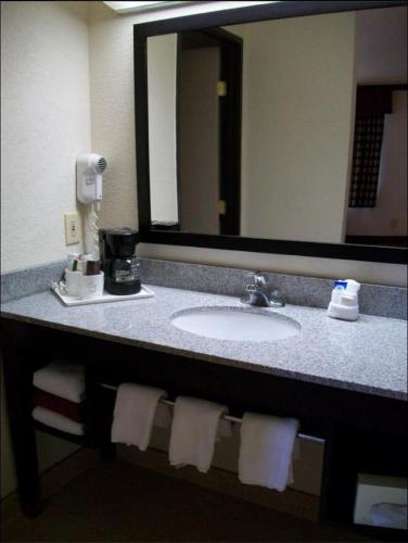 a bathroom counter with a sink and a mirror at Americas Best Value Inn Romulus/Detroit Airport in Romulus