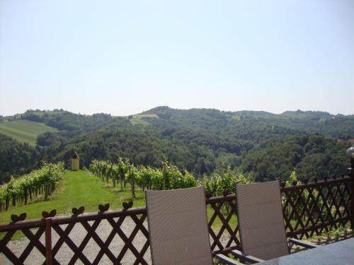 a view of a vineyard with chairs and a fence at Ferienhaus Weingut Bauer in Gamlitz