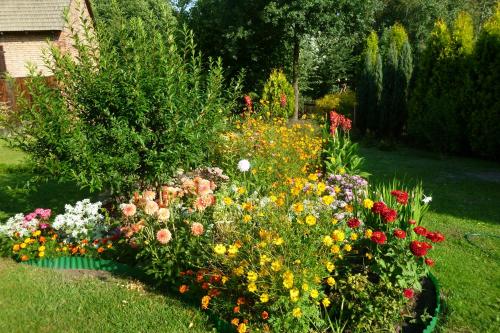 a garden filled with lots of different colored flowers at Folwark Anna in Kamienica Polska
