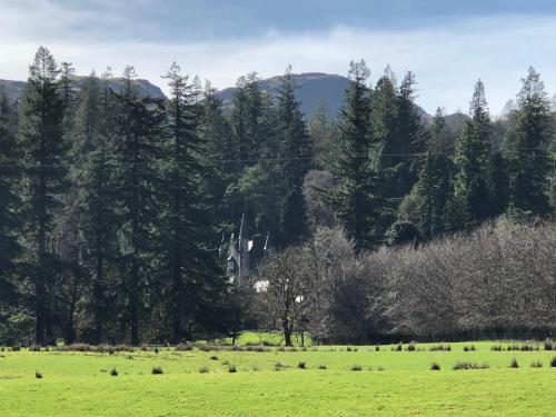 a green field with trees and green grass and a hill at Pucks Glen Lodges, Rashfield, by Dunoon in Dunoon