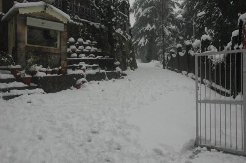 Shervani Hilltop Resort v zimě