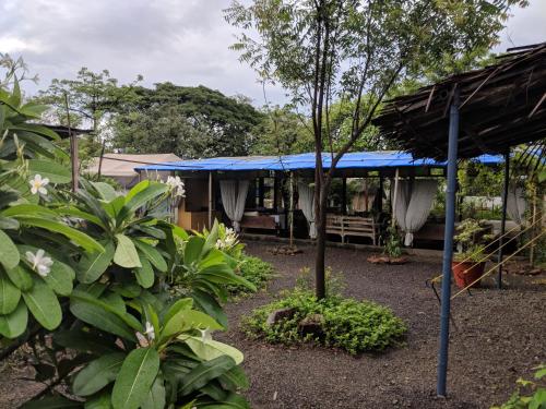a garden with a blue roof and some plants at Bohemyan Blue Stay in Alibaug