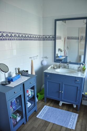 ein Badezimmer mit einem blauen Waschbecken und einem Spiegel in der Unterkunft La Pie Grièche in Coucy