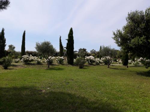 un parque con árboles y flores blancas en un campo en La Lune ô Collines - Gîte, en Lédenon