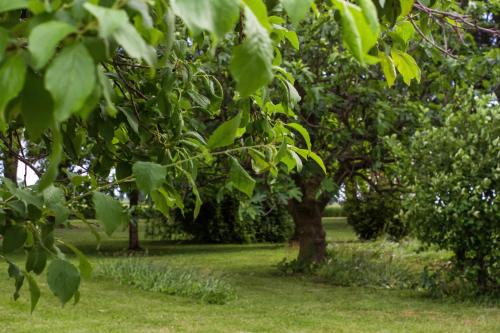 Κήπος έξω από το La Centuria Società Agricola Casa Vacanze