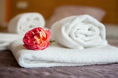 a flower sitting on top of a pile of towels at INTER Puerta del Sol Pension in Madrid
