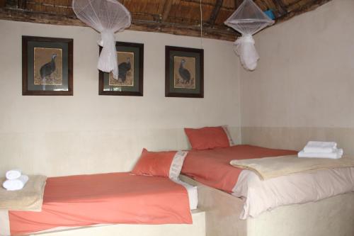 a bedroom with two beds and pictures on the wall at Tantebane Game Ranch in Tantebane