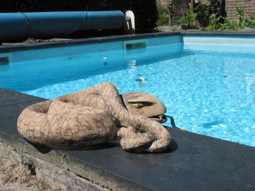 a stuffed teddy bear sitting next to a swimming pool at De Hoge Peel in Heythuysen