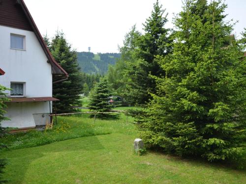 podwórko z drzewem i domem w obiekcie Holiday home in the Ore Mountains near chairlift w mieście Loučná pod Klínovcem