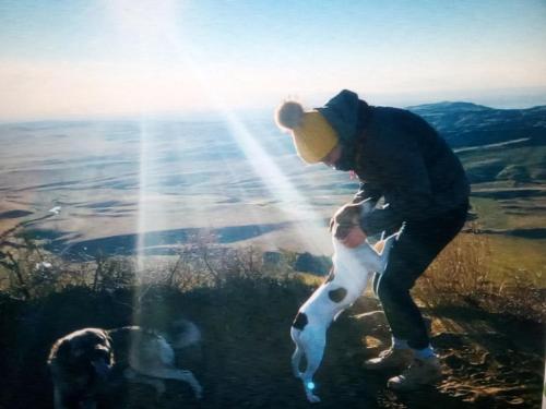 a person holding a dog on top of a hill at My home udabno in Udabno