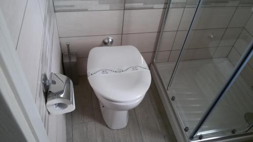 a small bathroom with a toilet and a shower at ele&gio accomodation in Tropea