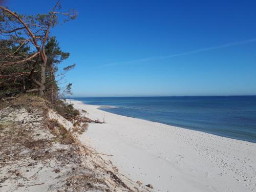 En strand vid eller i närheten av rummet i privatbostaden