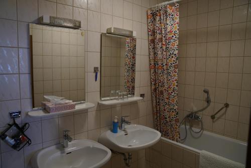 Ένα μπάνιο στο Hotel zum Grafen Hallermunt